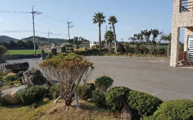 The Freedom - Hostel