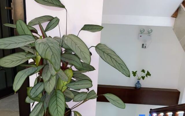 Jianshui Bushe Homestay (Gucheng Branch)