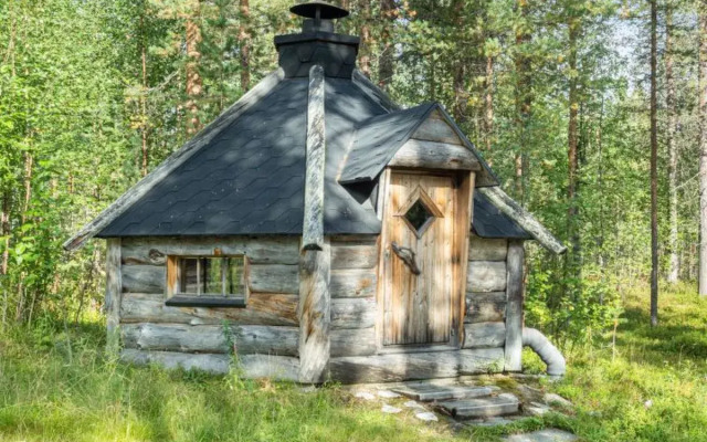 Kämmekkä b