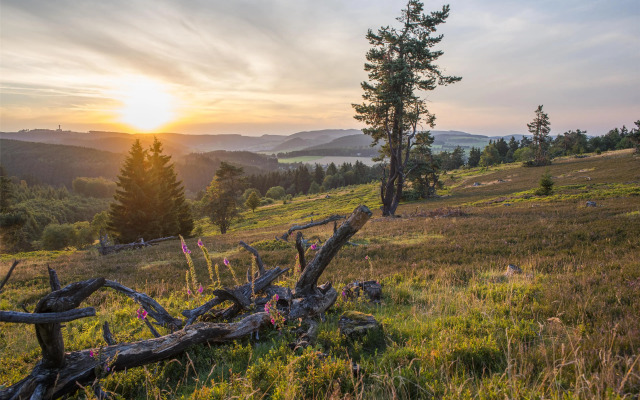 Mountain View Hotel Willingen