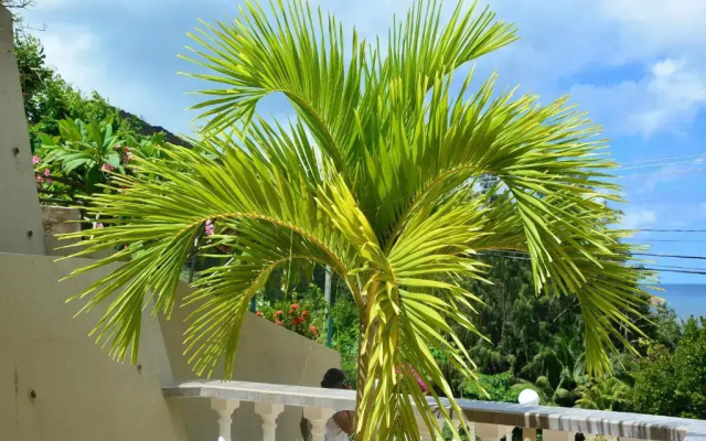 Villa Anse La Blague