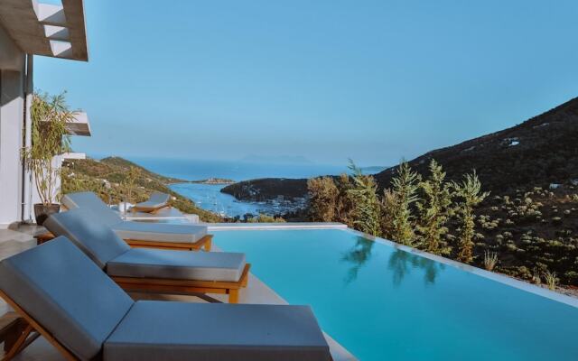 Theros Villas With Private Pool