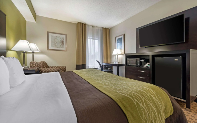 Comfort Inn Indianapolis East