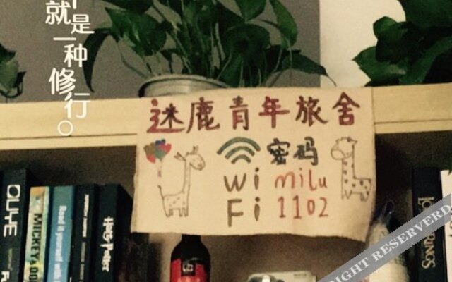 Xi'an Ron Walker Hostel