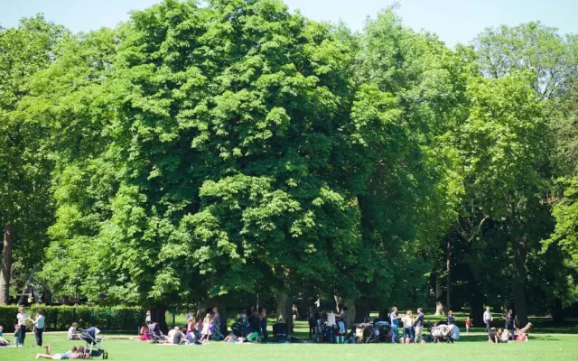 Light & airy studio, 2 mins from Queen's Park tube