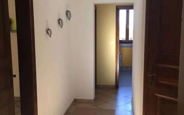 S'Harzala Jaune