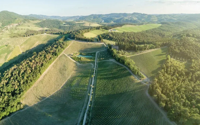 Vigna Home Amazing Site Chianti Classico