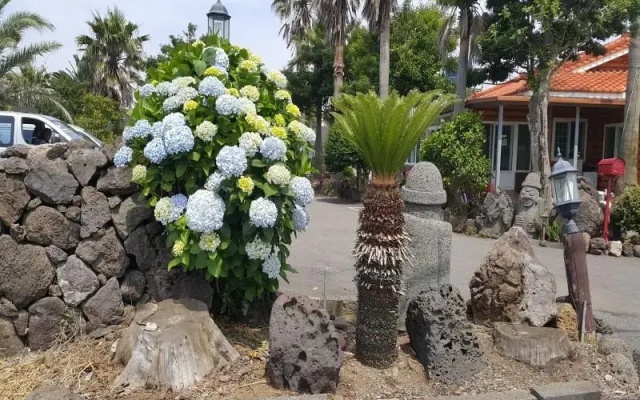 Seogwipo Sanbangsanae Pension