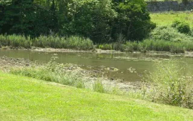 Apartamentos Turísticos Verdemar