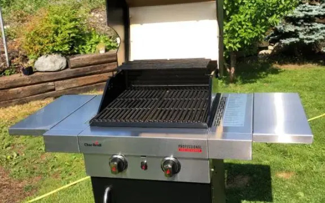 Garden Apartment in Gol