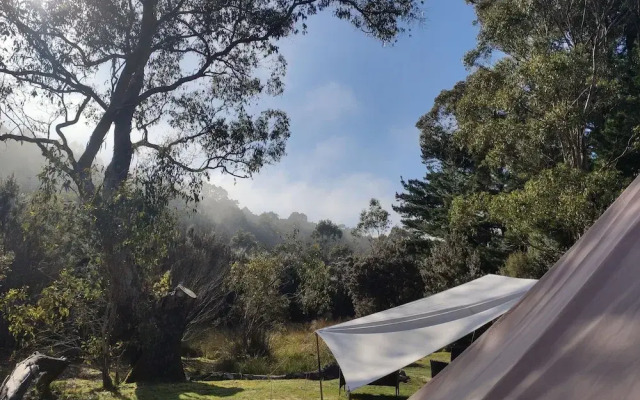 Zeehan Bush Camp