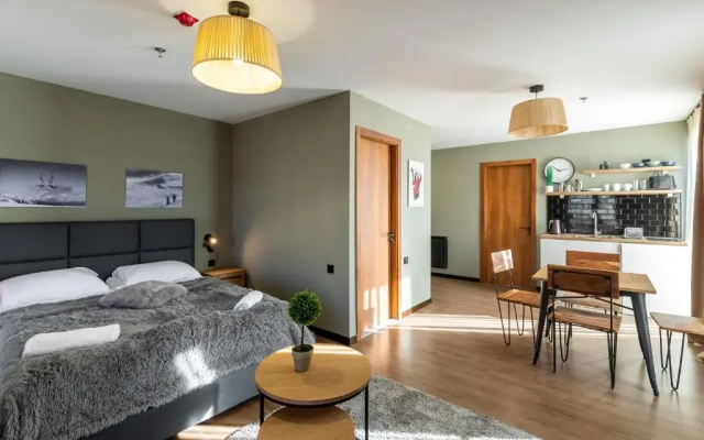 Super Stylish and cozy 2 bedroom 4or6 people Apartment in key location in Marshall Gudauri Project Ski Resort