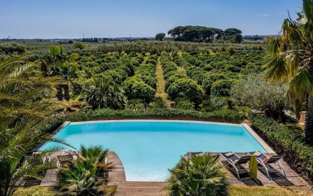 Villa Pineta 6 Emma Villas
