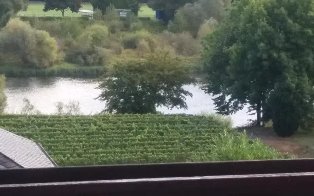 Gästehaus-Weingut Michael Scholer