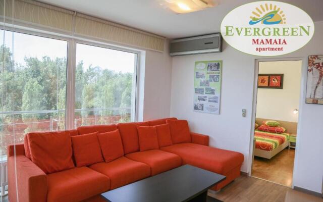 Evergreen Vlas Mamaia