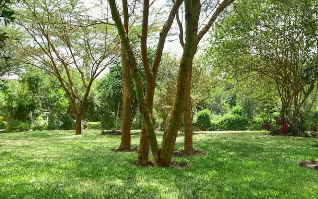 Olkeri chalete
