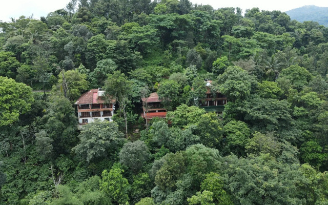 Planet Green Plantation Resorts