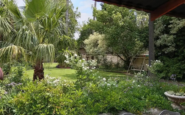 Palms Lodge