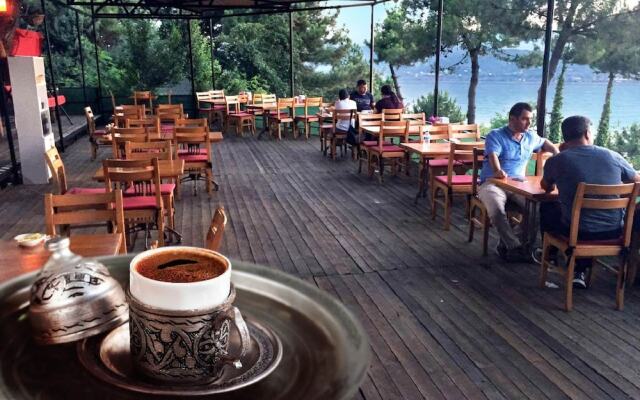 Sakarya Il Ormani Tabiat Parki Konaklama Evleri