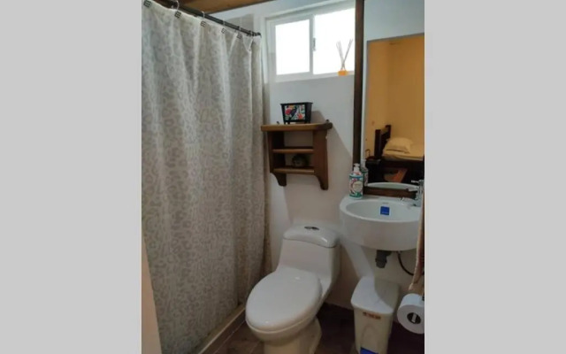 Finca La Antigua. finca tradicional Cafetera