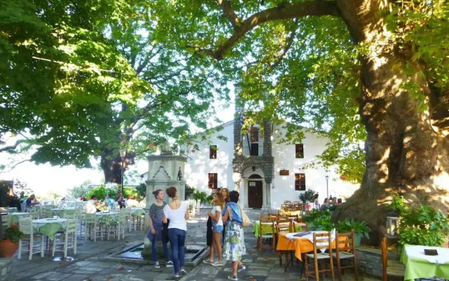 Archontiko Michael Vyzítsa Pelion