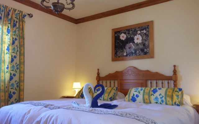Apartamentos Estrella del Norte
