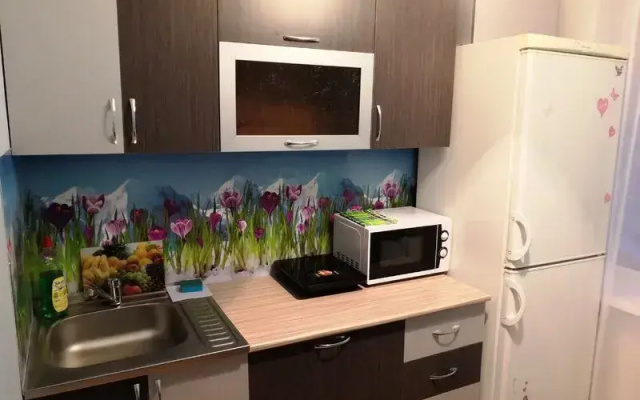 Сутки как дома на Ботанической, 45