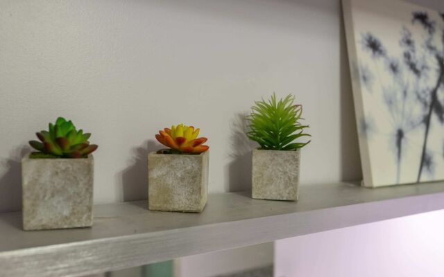 Parmelan Appartement privé