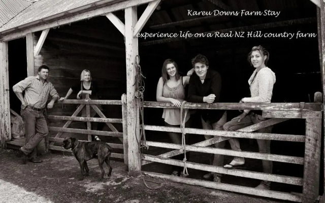 Karetu Downs Farm Stay