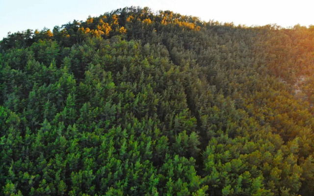 Bucak Apart Hotel Gocek & Beach