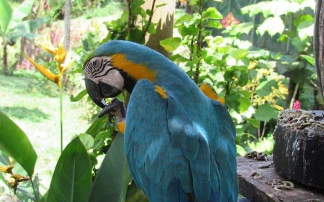 Hotel Yurupary