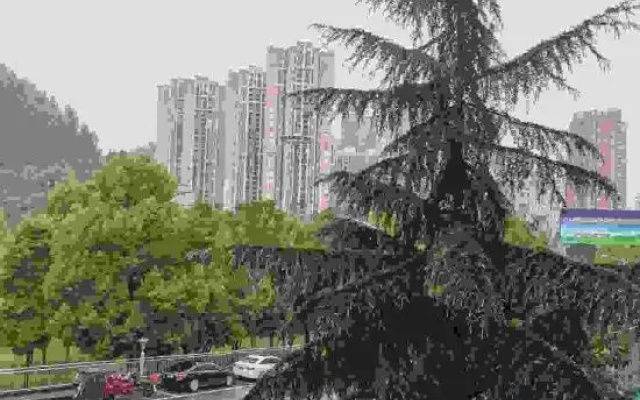 Aiju Business Hotel