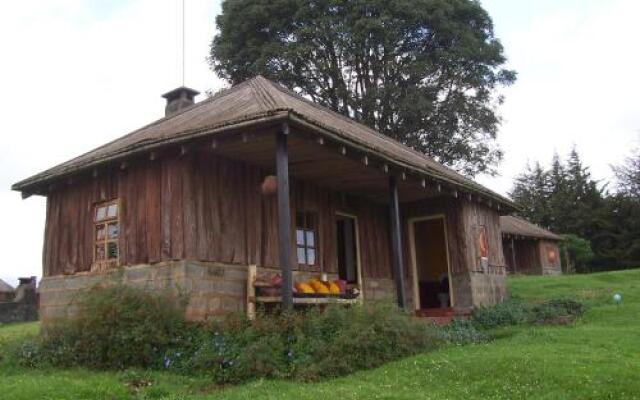 Castle Forest Lodge