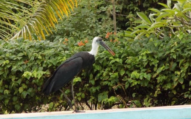 Echo Villas Watamu