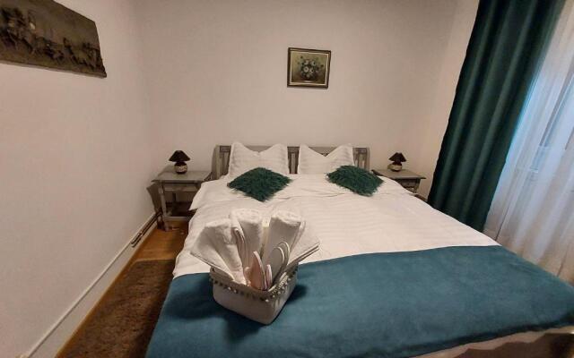 Vintage Central Apartament