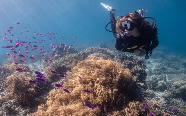 Emoha Dive Resort