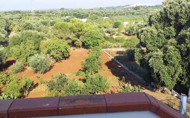 Villa Mediterranea tra gli ulivi