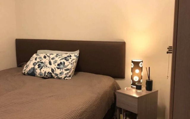 Modern 3 Bedroom Apartment in Auckland