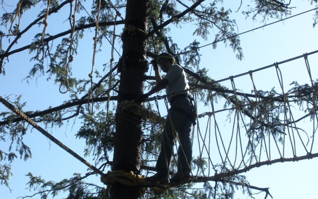 Aamod Dalhousie