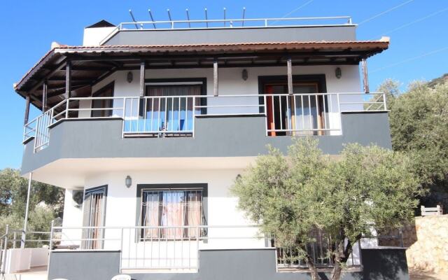 Villa Emir