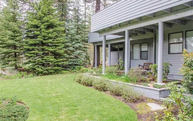 Virginia Rail Lane 11