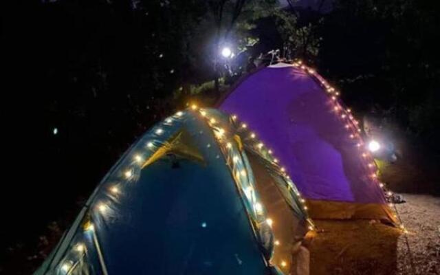Singalong Nature Campsite Hill