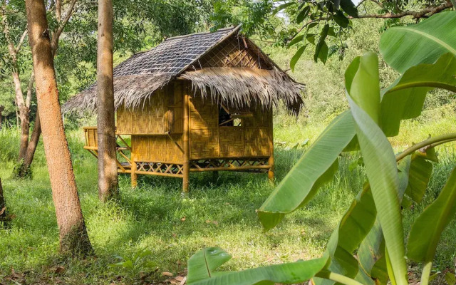 Wichai's Jungle Home Stay