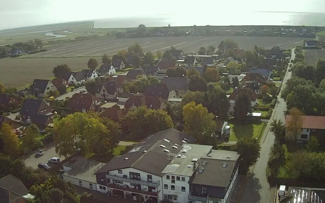Fasan Warwerort in Warwerort