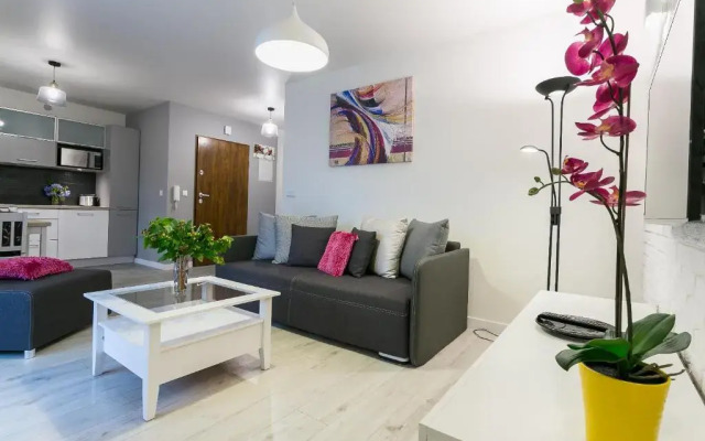 VIP Apartamenty Centrum