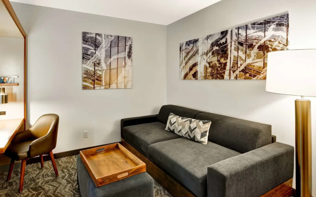 SpringHill Suites By Marriott Columbia Fort Meade Area