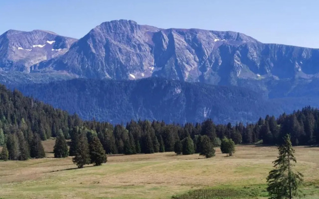 Serene Alpine Stay for 6 Guests