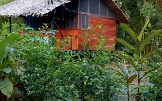 Rio Mar Bahía Solano Choco Colombia