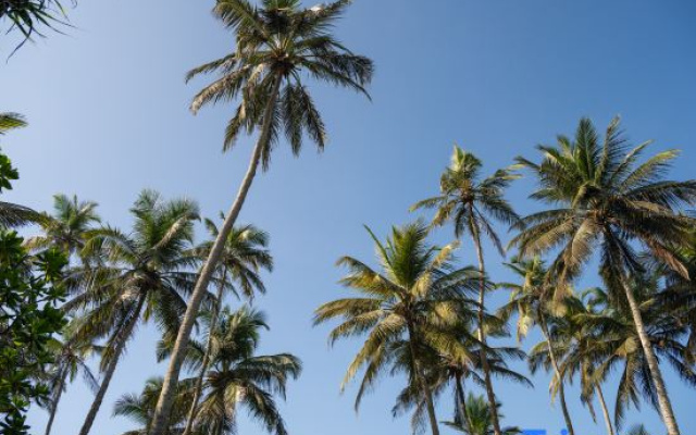 Ranna Beach House - Your own haven by the beach