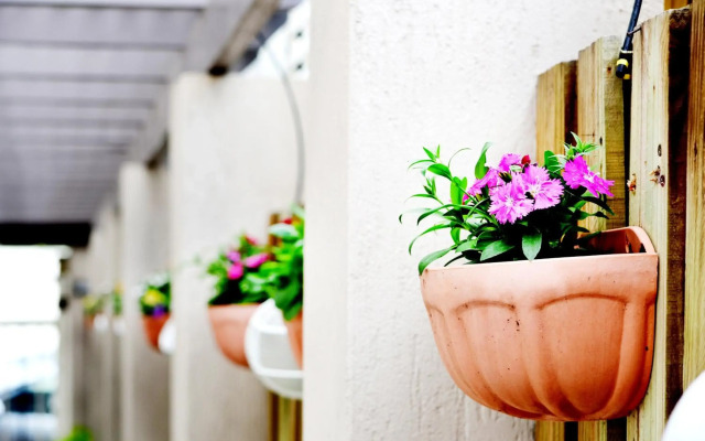 Spring Hill Mews Apartments